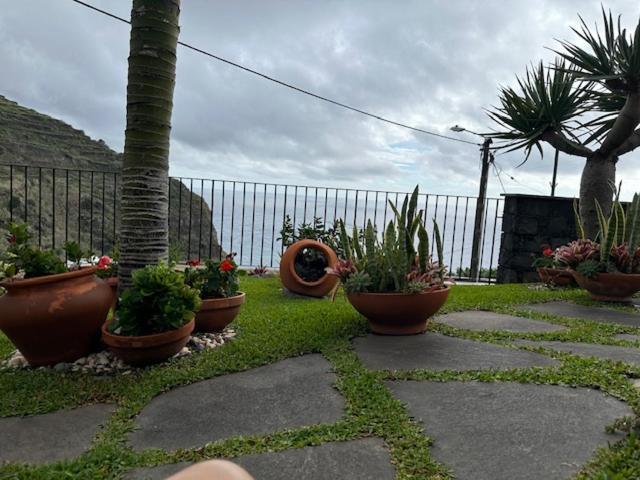 Villa Zeza'S Garden à Calheta  Extérieur photo
