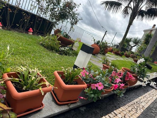 Villa Zeza'S Garden à Calheta  Extérieur photo