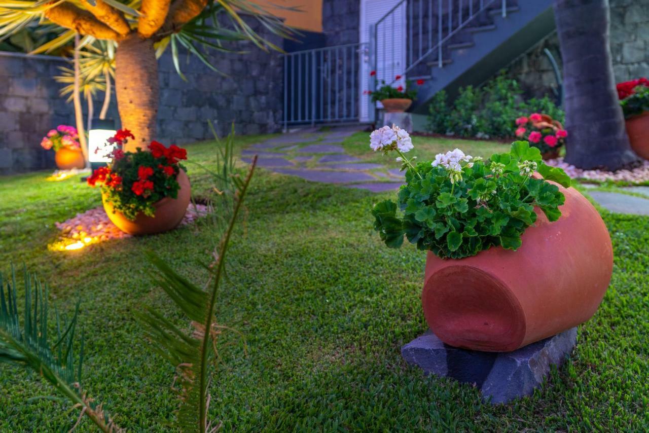 Villa Zeza'S Garden à Calheta  Extérieur photo